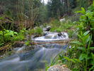 photo thumbnail #9
