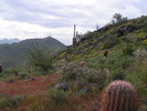 photo thumbnail #3