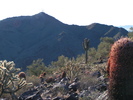 photo thumbnail #5