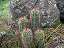 photo thumbnail #8