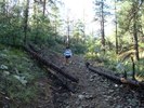 photo thumbnail #3