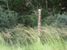 photo thumbnail #15
