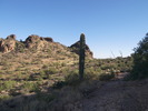photo thumbnail #1