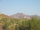 photo thumbnail #7