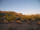 photo thumbnail #10