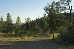photo thumbnail #2