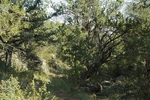 photo thumbnail #6