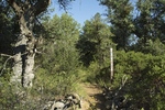 photo thumbnail #12