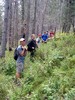 photo thumbnail #13