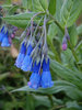 photo thumbnail #4