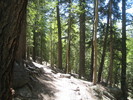 photo thumbnail #1