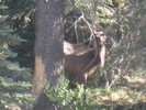 photo thumbnail #6