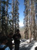 photo thumbnail #8