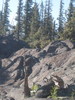 photo thumbnail #9