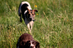 photo thumbnail #5