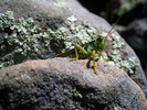 photo thumbnail #6