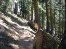 photo thumbnail #3