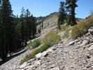 photo thumbnail #14