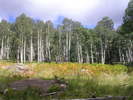 photo thumbnail #12