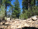 photo thumbnail #6