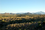 photo thumbnail #2