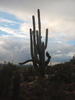 photo thumbnail #4