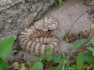 photo thumbnail #14