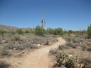 photo thumbnail #4