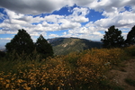 photo thumbnail #10