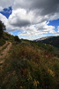 photo thumbnail #12