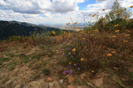 photo thumbnail #13