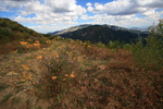 photo thumbnail #14