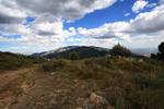 photo thumbnail #15