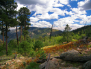photo thumbnail #9