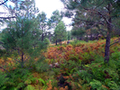 photo thumbnail #10