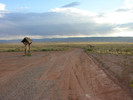 photo thumbnail #3