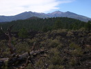 photo thumbnail #7