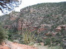 photo thumbnail #5
