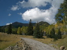 photo thumbnail #3