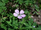 photo thumbnail #2