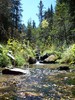 photo thumbnail #6