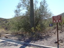 photo thumbnail #4