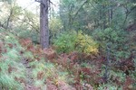 photo thumbnail #15