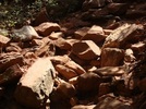 photo thumbnail #15