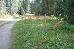 photo thumbnail #11