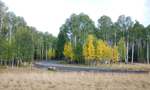 photo thumbnail #1