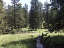 photo thumbnail #6