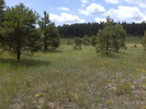 photo thumbnail #8