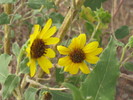 photo thumbnail #7