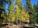 photo thumbnail #3